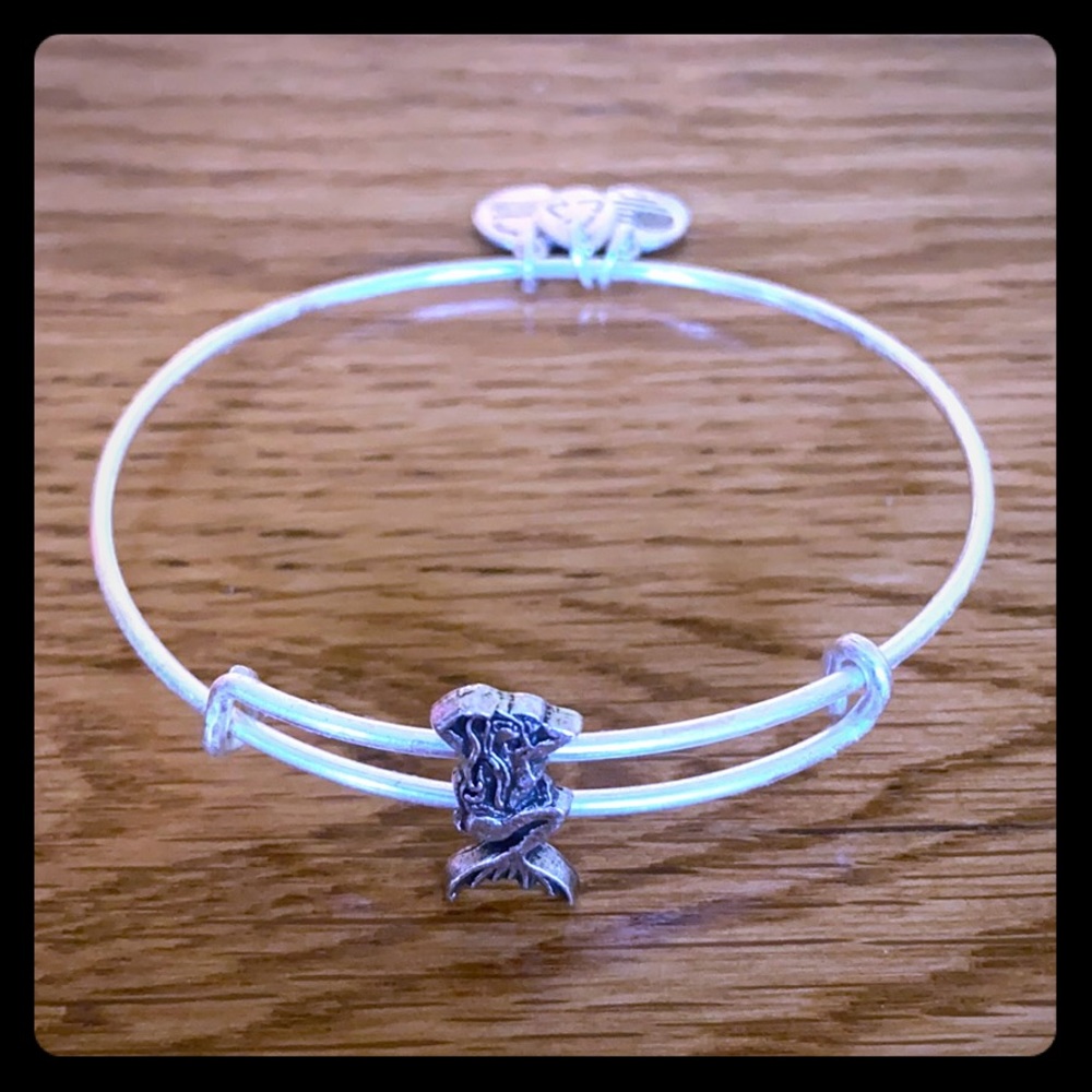 Alex and Ani mermaid slider bangle